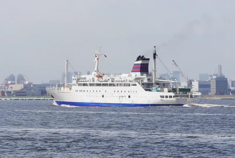 ANGRIYA Passenger Ship IMO 9150353 photo 2