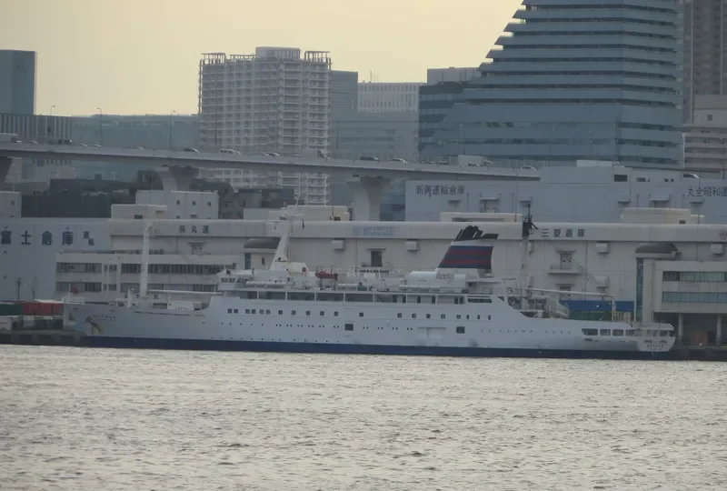 ANGRIYA Passenger Ship IMO 9150353 photo 3