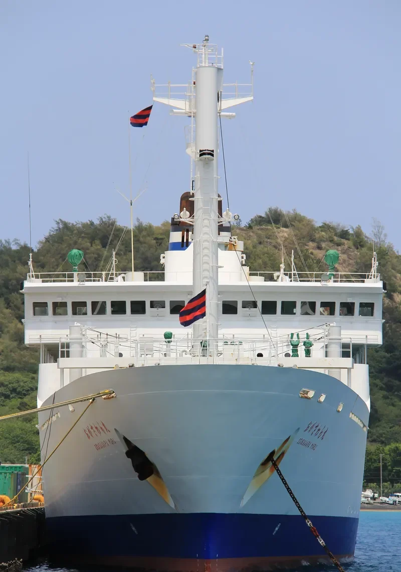 ANGRIYA Passenger Ship IMO 9150353 photo 4