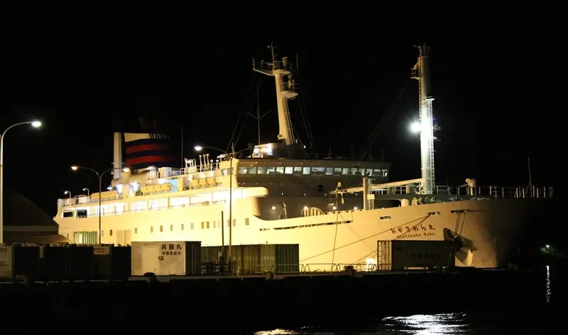 ANGRIYA Passenger Ship IMO 9150353 photo 6