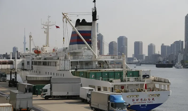 ANGRIYA Passenger Ship IMO 9150353 photo 7