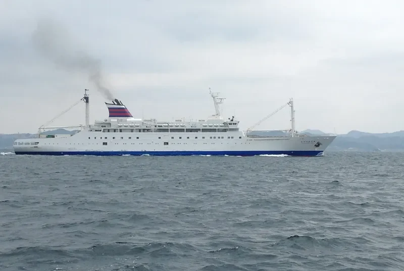 ANGRIYA Passenger Ship IMO 9150353 photo 8