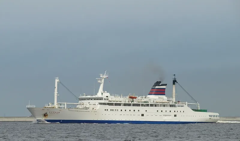 ANGRIYA Passenger Ship IMO 9150353 photo 9