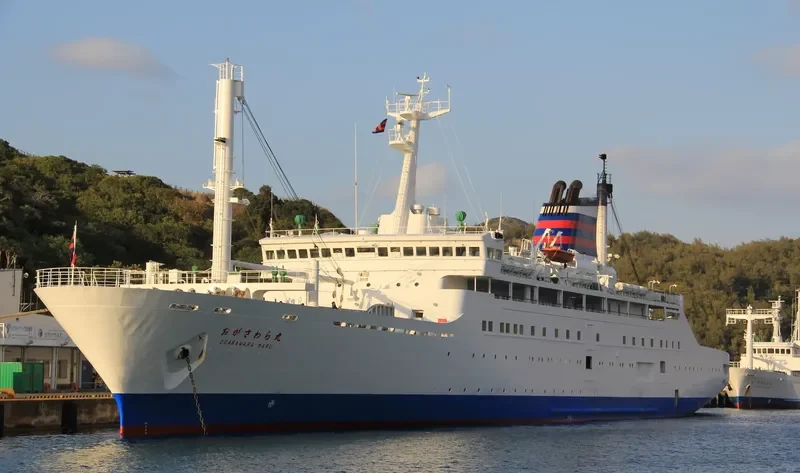 ANGRIYA Passenger Ship IMO 9150353 photo 10
