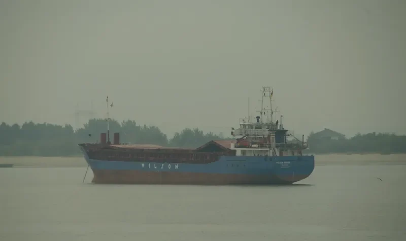 WILSON BRAKE Container Ship IMO 9150511 photo 3