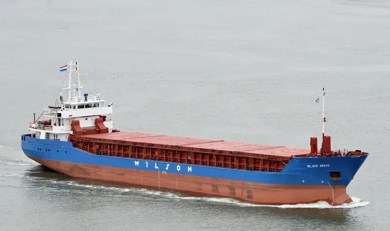 WILSON BRAKE Container Ship IMO 9150511 photo 7