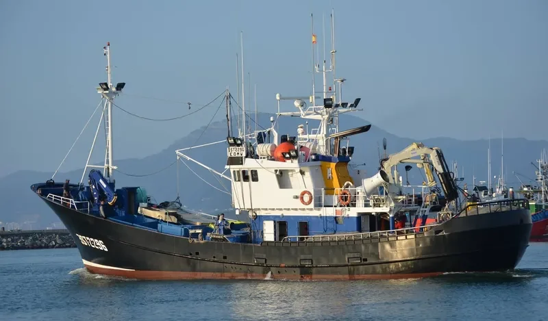 NUEVO TORRE QUITINA General Cargo IMO 9150547