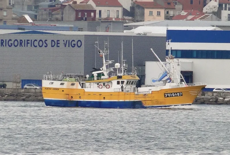 NUEVO CEDES General Cargo IMO 9150597