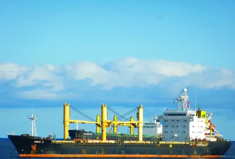 BIRCH 3 General Cargo IMO 9150731 photo 4