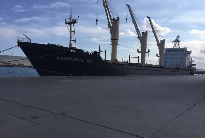 AMINEH M General Cargo IMO 9150743