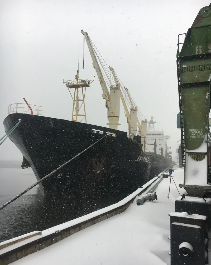 AMINEH M General Cargo IMO 9150743 photo 4
