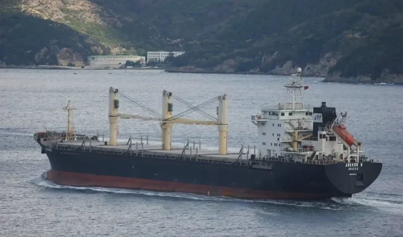 AMINEH M General Cargo IMO 9150743 photo 6