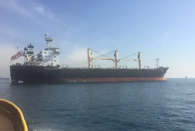 AMINEH M General Cargo IMO 9150743 photo 8