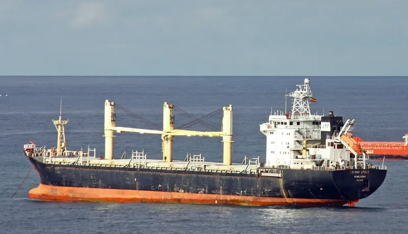AMINEH M General Cargo IMO 9150743 photo 10