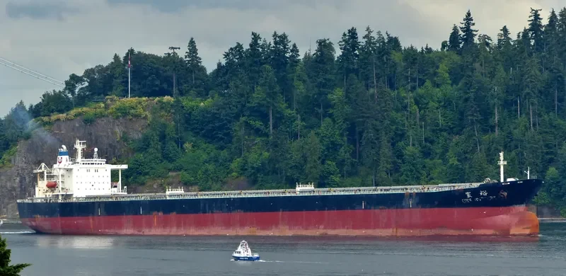 CAPE MERCURY Bulk Carrier IMO 9150755 photo 2