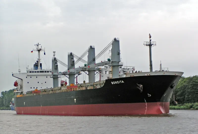 REGION 87 Bulk Carrier IMO 9150808 photo 2
