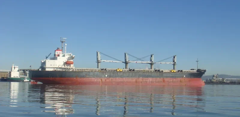 REGION 87 Bulk Carrier IMO 9150808 photo 3