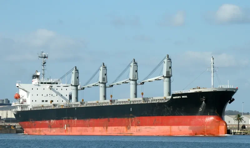 GUO DIAN 8 Bulk Carrier IMO 9151230