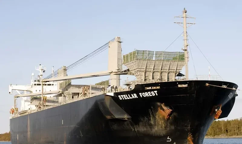 FIRSTEC Bulk Carrier IMO 9151242 photo 3