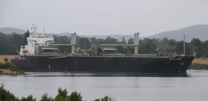 FIRSTEC Bulk Carrier IMO 9151242 photo 4