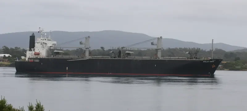 FIRSTEC Bulk Carrier IMO 9151242 photo 5