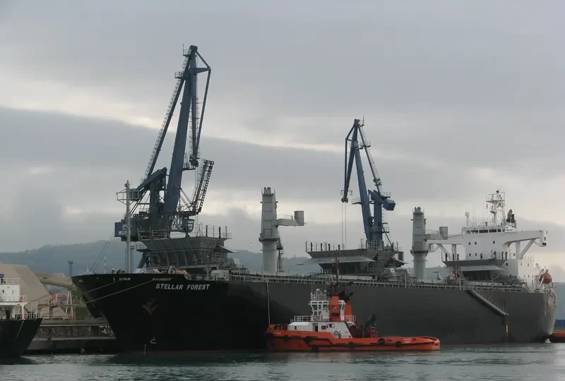 FIRSTEC Bulk Carrier IMO 9151242 photo 6