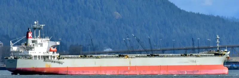 CARINA Bulk Carrier IMO 9151333