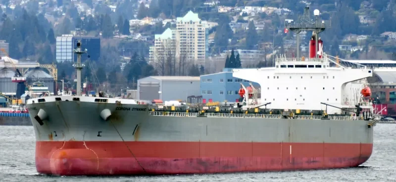 CARINA Bulk Carrier IMO 9151333 photo 2