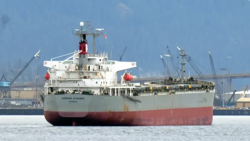 CARINA Bulk Carrier IMO 9151333 photo 3