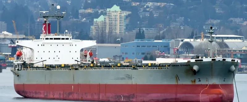 CARINA Bulk Carrier IMO 9151333 photo 4