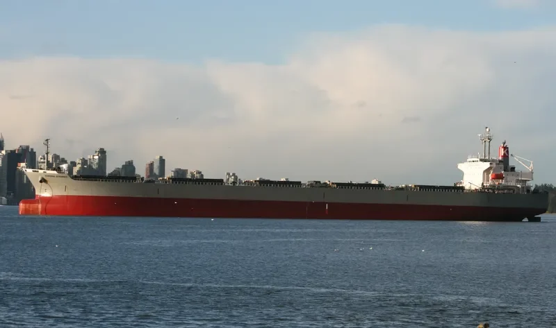CARINA Bulk Carrier IMO 9151333 photo 5