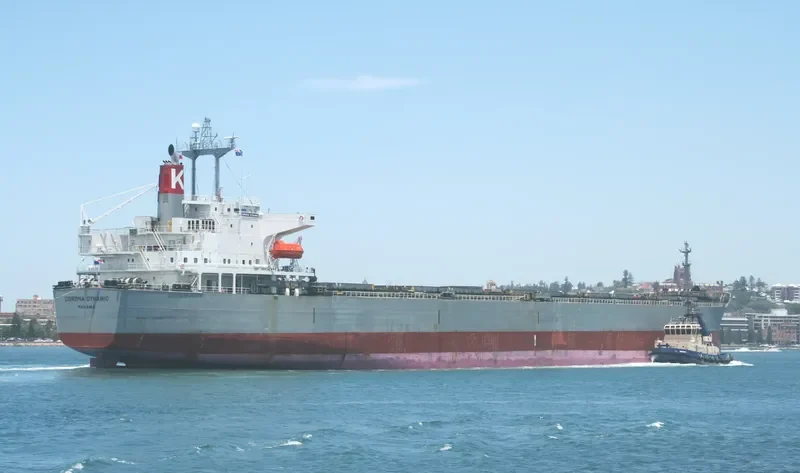 CARINA Bulk Carrier IMO 9151333 photo 7