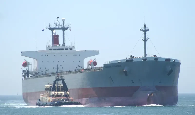 CARINA Bulk Carrier IMO 9151333 photo 8