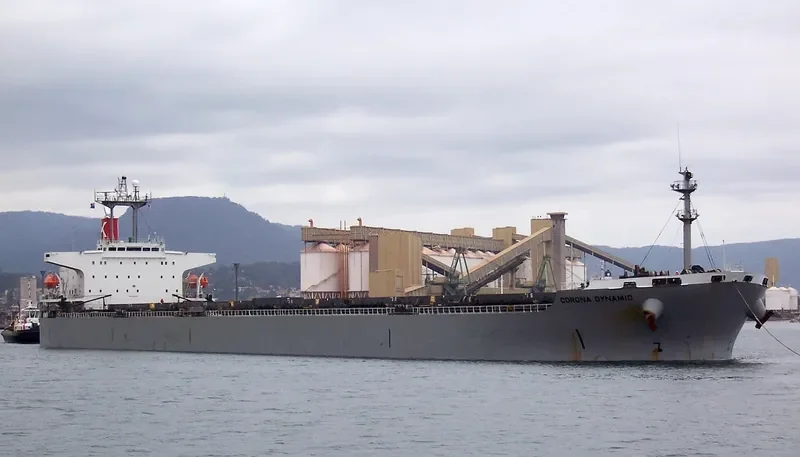 CARINA Bulk Carrier IMO 9151333 photo 9