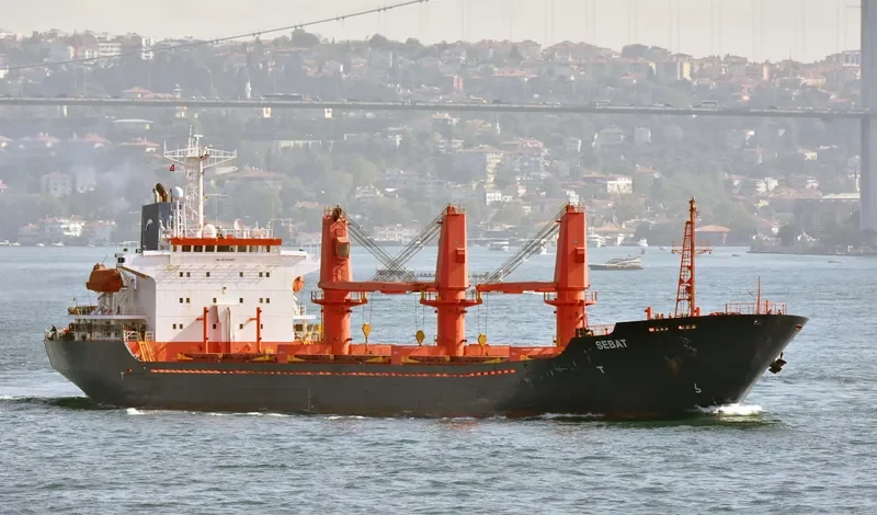 SEBAT Bulk Carrier IMO 9151383