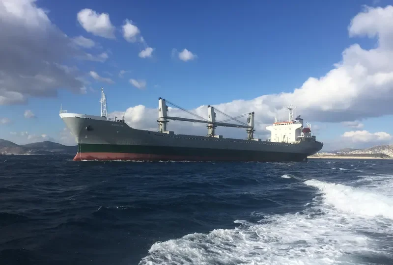 MACHITIS Bulk Carrier IMO 9151395 photo 7