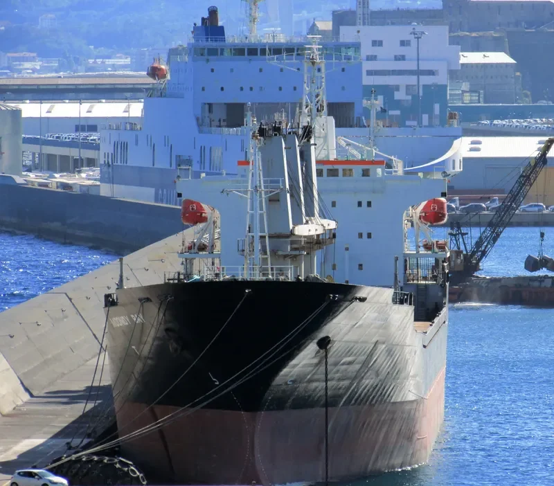 MACHITIS Bulk Carrier IMO 9151395 photo 9