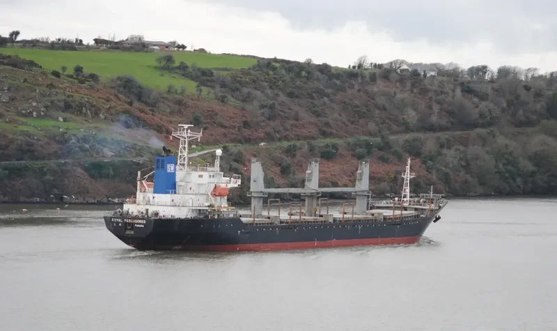 GANOSAYA Bulk Carrier IMO 9151400 photo 3