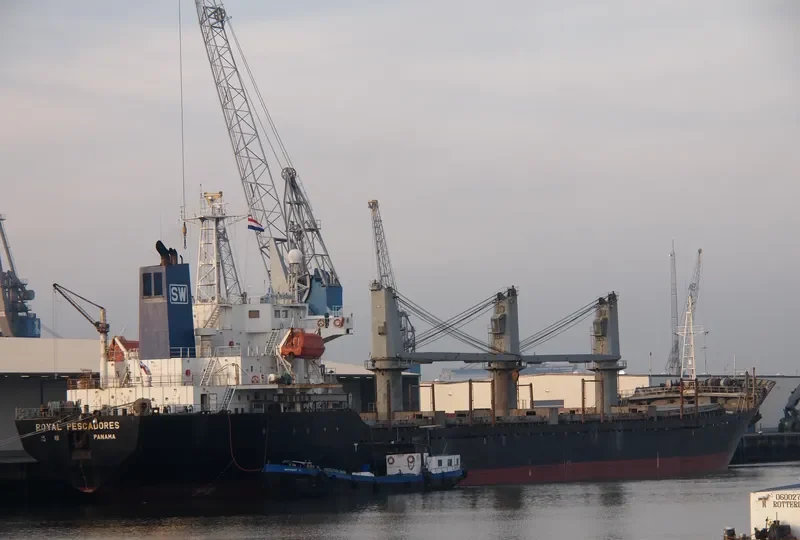 GANOSAYA Bulk Carrier IMO 9151400 photo 7