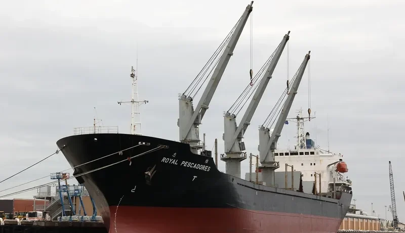 GANOSAYA Bulk Carrier IMO 9151400 photo 10