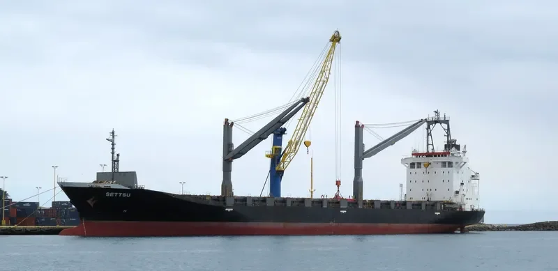BAOHANG Container Ship IMO 9151412 photo 7