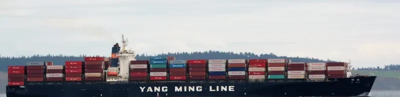DANUM 172 Container Ship IMO 9151424