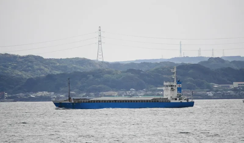 DELTA General Cargo IMO 9151436 photo 9