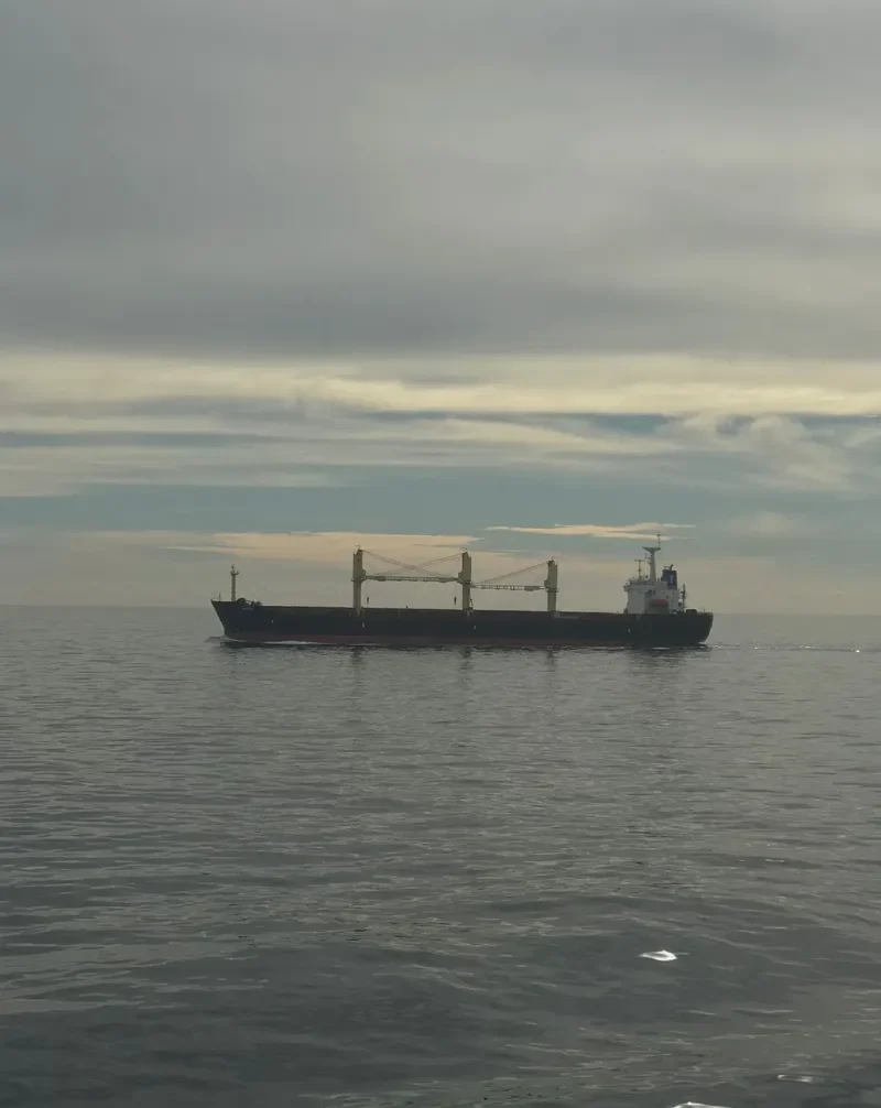 ADASTAR General Cargo IMO 9151515
