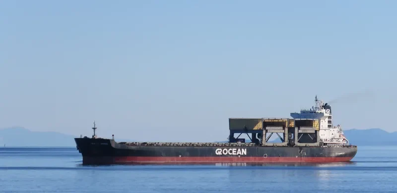 WEAVER ARROW General Cargo IMO 9151826 photo 2