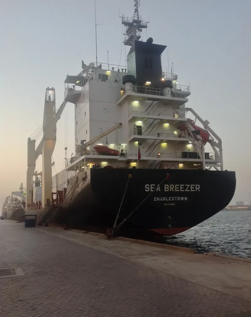 SEA BREEZER Container Ship IMO 9151888