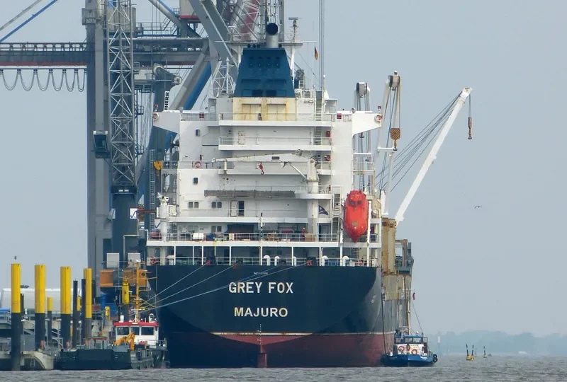 GREY FOX General Cargo IMO 9151905 photo 10