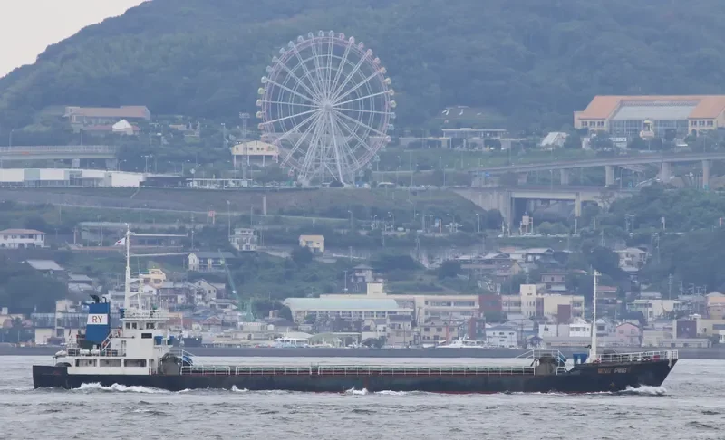 MING PING General Cargo IMO 9152076 photo 3