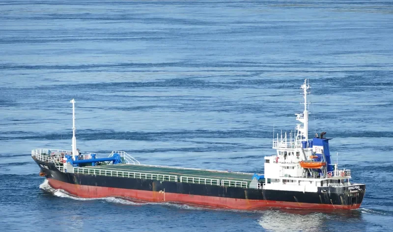 MING PING General Cargo IMO 9152076 photo 5