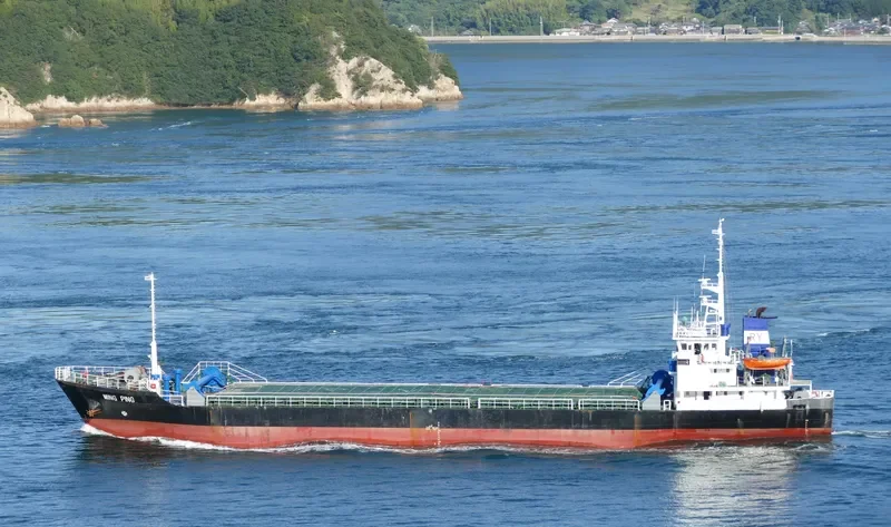 MING PING General Cargo IMO 9152076 photo 6
